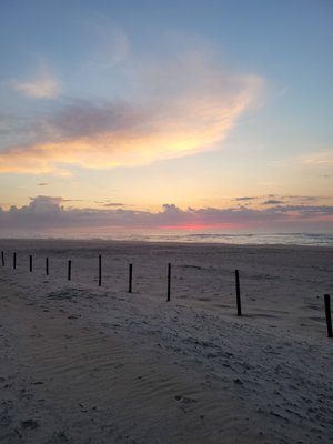 Assateague Island National Seashore by null