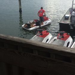 Ocracoke Wave Runners - Doggy riding shotgun!