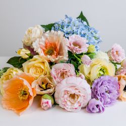 Modern Display