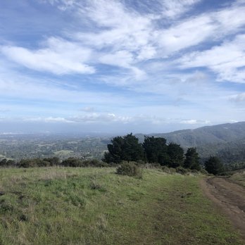 Windy Hill Open Space Preserve - Parks Near Me Windy Hill Open Space Preserve - Parks Near Me