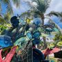 Photo of Green Turtle and Blue Tang