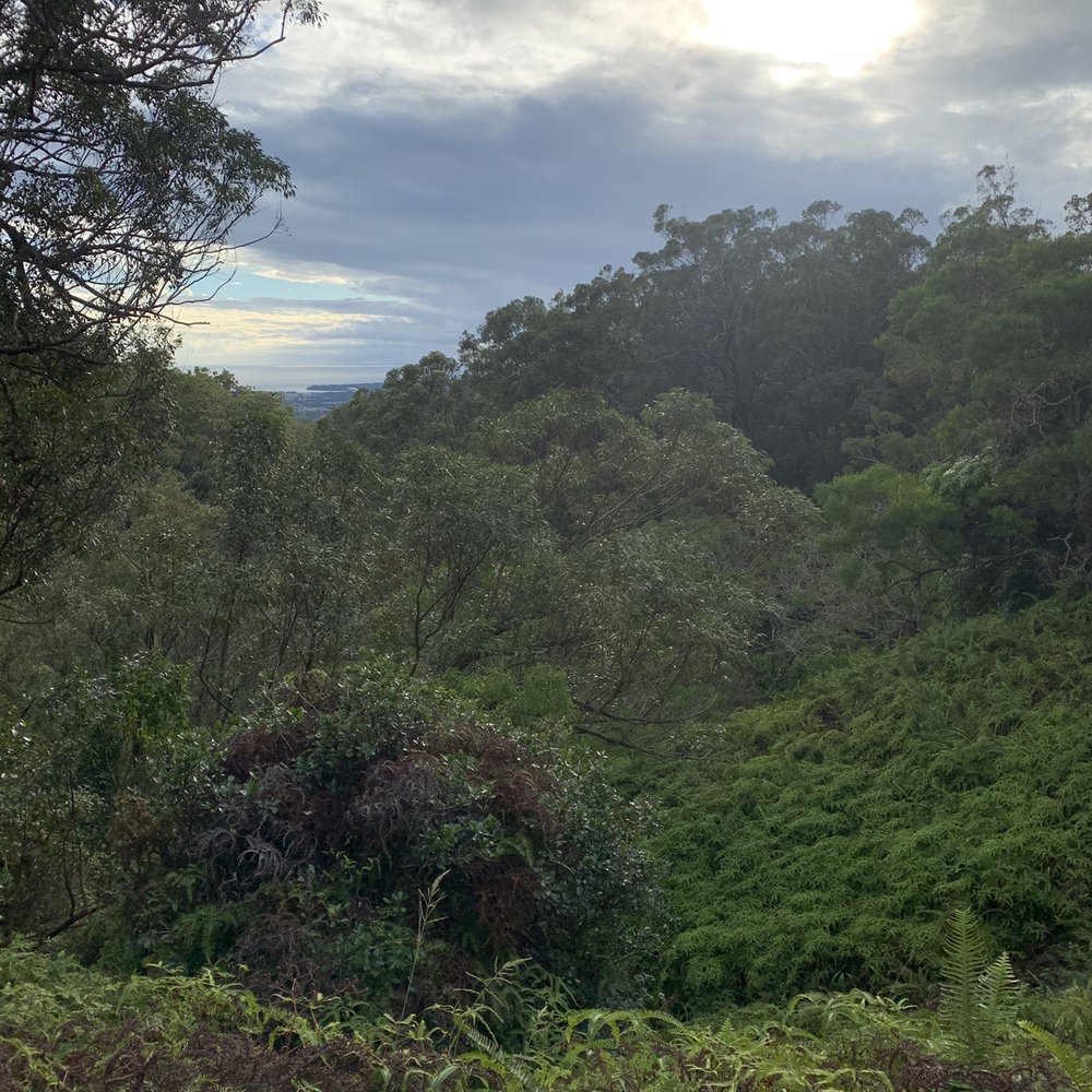 Aiea Loop Trail - Hiking Near Me - Aiea, Hawaii