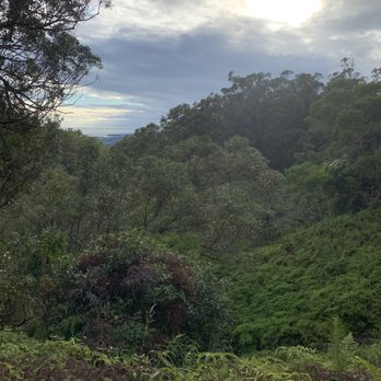 Aiea Loop Trail - Hiking Near Me - Aiea, Hawaii