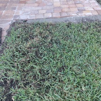 Matao pavers services  - Landscaping Near Me - Orlando, Florida