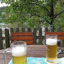Am Angelweiher