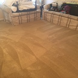 My newly cleaned carpet! Great job, Busy Bee!
