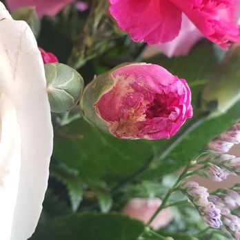 Flower Sensation - No attention to detail! - Florists Near Me - Chula Vista, California