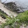 Photo of Lunada Bay