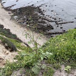 Lunada Bay