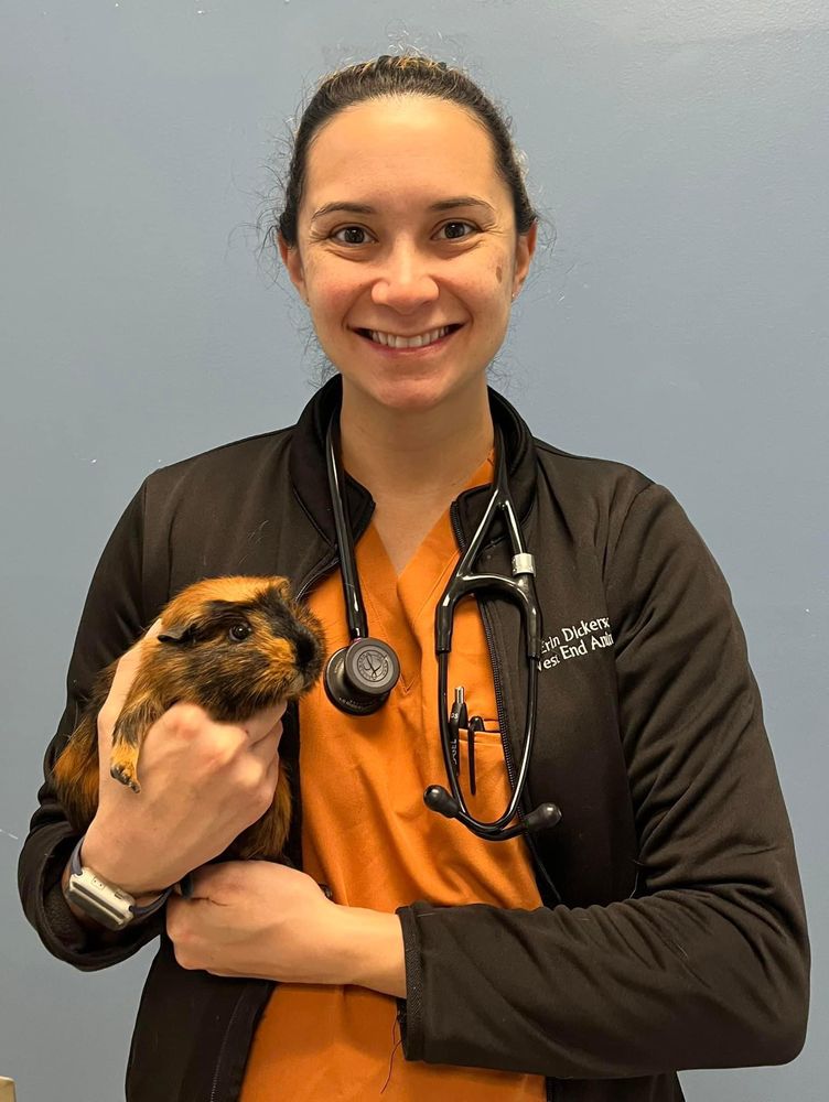 West End Animal Hospital Image