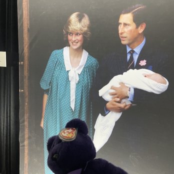 Princess Diana Accredited Access Exhibition - Museums Near Me - Tysons, Virginia Princess Diana Accredited Access Exhibition - Museums Near Me - Tysons, Virginia