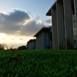 Universidad Marista