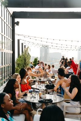 Harriet's Rooftop by null