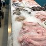 Photo of Pescados del Golfo