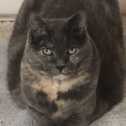 Natasha