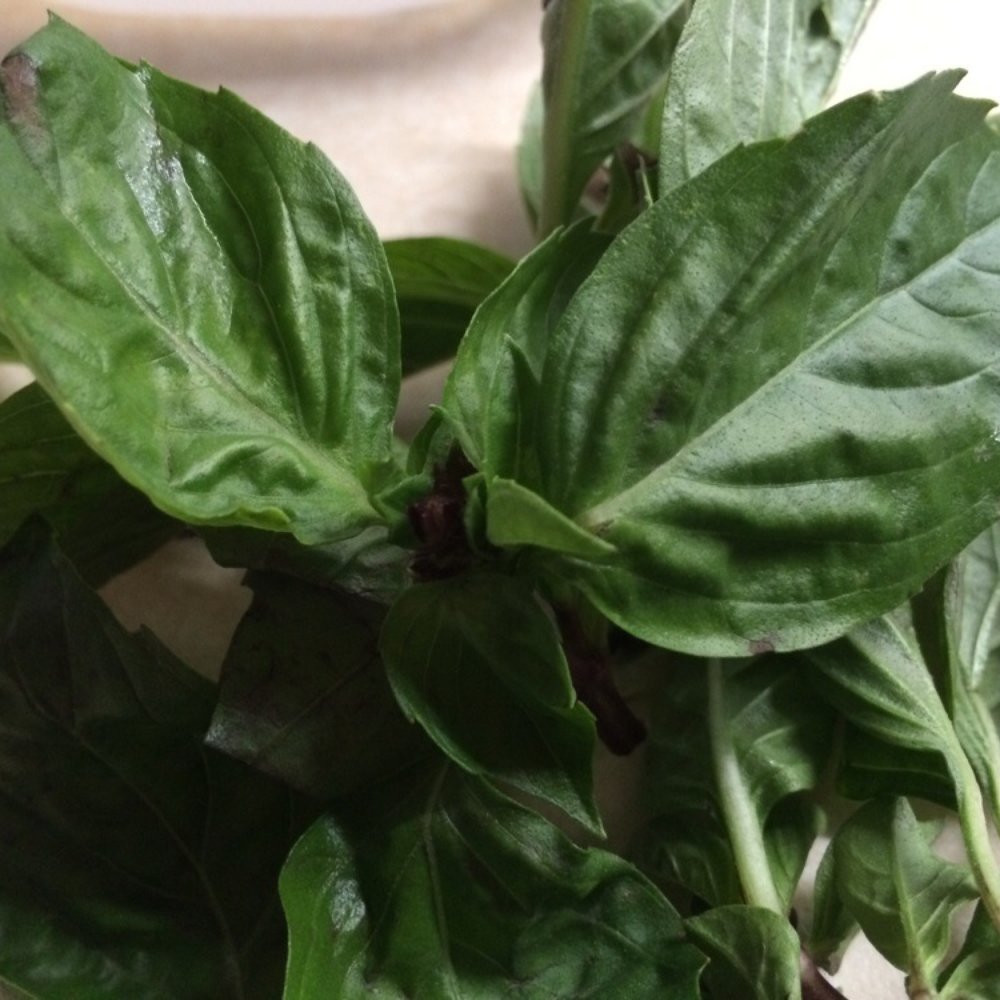 Asian Super Market - Fresh thai basil - Grocery Near Me - Frederick, Maryland
