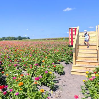 Heap's Giant Pumpkin Farm - Great photo opportunities. This was a truck - Pumpkin Patches Near Me - Minooka, Illinois