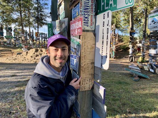 Sign Post Forest by null