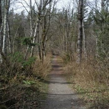 Kanaskat-Palmer State Park - A trail in the park. - Hiking Near Me - Ravensdale, Washington Kanaskat-Palmer State Park - A trail in the park. - Hiking Near Me - Ravensdale, Washington