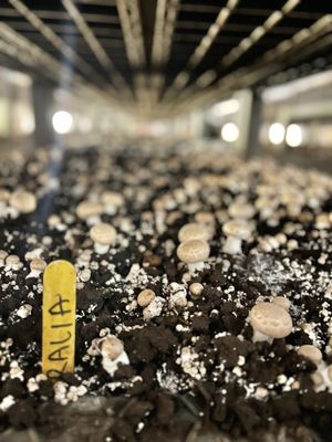 River Valley Ranch & Kitchens by null