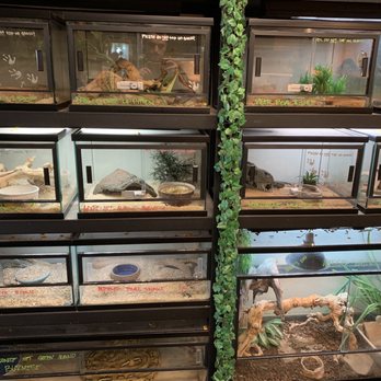 JTK Reptiles - Animal Display - Reptile Shops Near Me - Long Beach, California