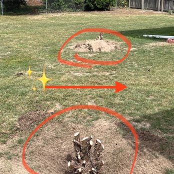 Southern Grind Stump & Tree Removal - Before removing stumps. - Tree Services Near Me - Augusta, Georgia Southern Grind Stump & Tree Removal - Before removing stumps. - Tree Services Near Me - Augusta, Georgia