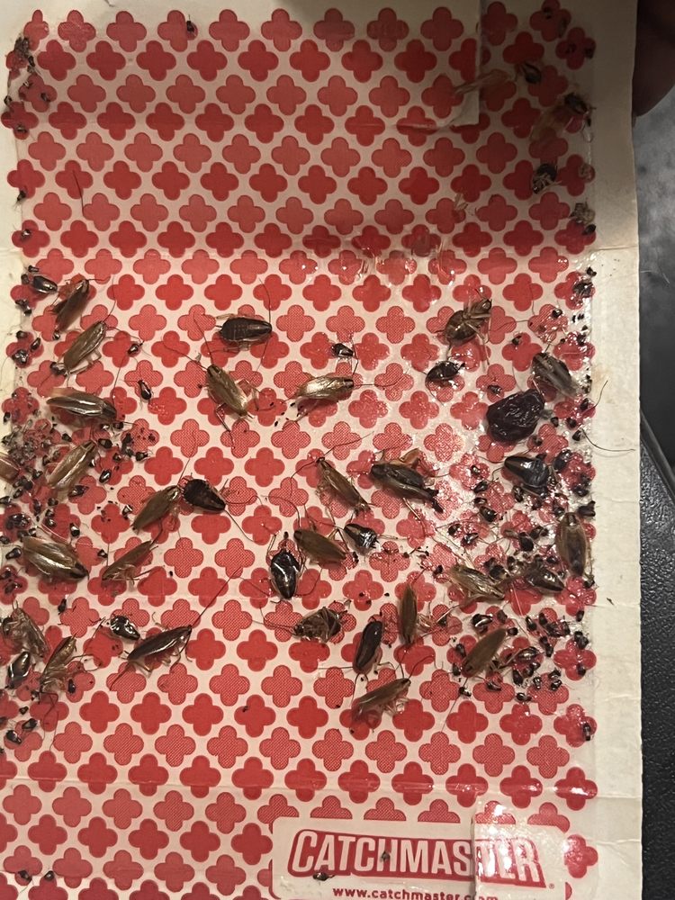 CANDLELIGHT APARTMENTS Updated July 2024 6522 E 125th St, Grandview