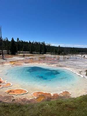 Backcountry Safaris by null