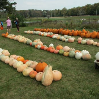 Nauman's Farm - laid out in lines - Farmers Market Near Me - Wellesley, Ontario