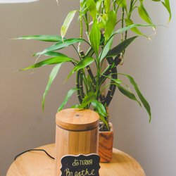 In Bloom Yoga - In Bloom Yoga decorations