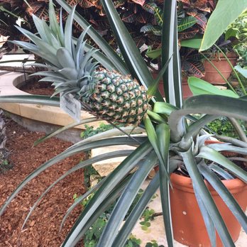 Lauritzen Gardens - Venues & Event Spaces Near Me - Omaha, Nebraska Lauritzen Gardens - Venues & Event Spaces Near Me - Omaha, Nebraska