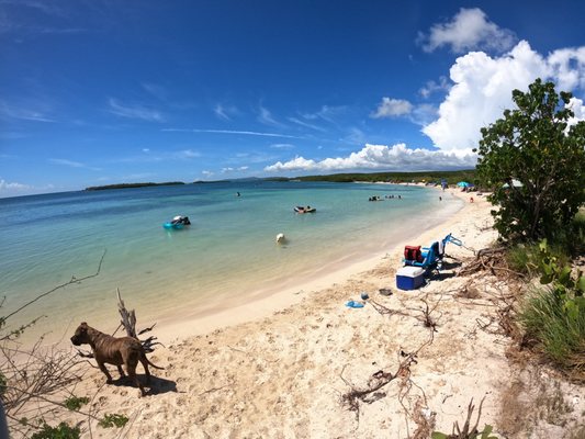 Playa La Jungla by null