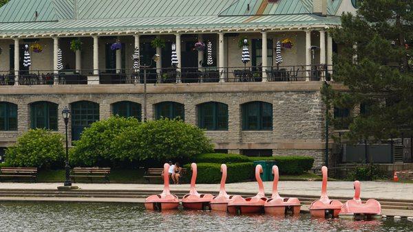 Delaware Park by null