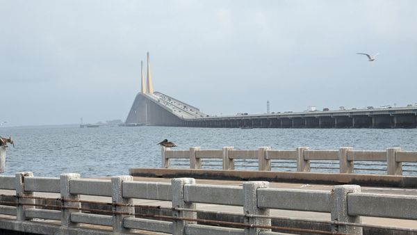 Sunshine Skyway Bridge by null