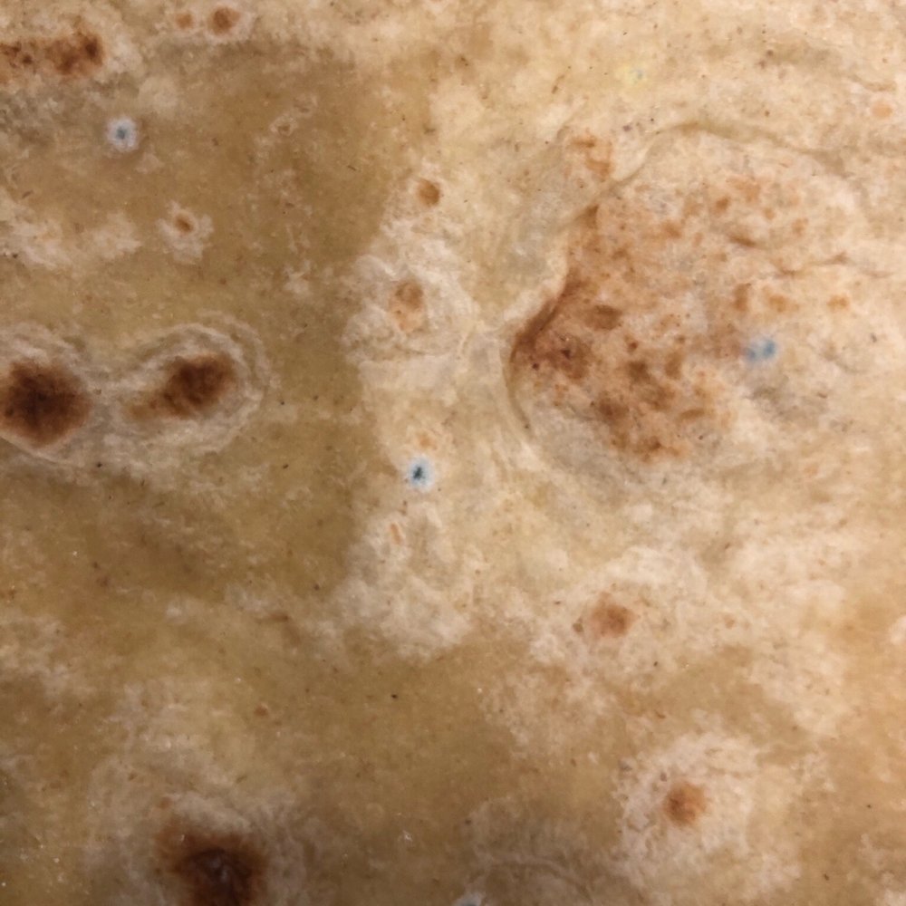 Vipuls Kitchen - a close up of a tortilla - Indian Near Me - Austin, Texas