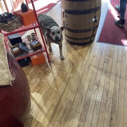 Spice Merchants - Shop doggie Tifa