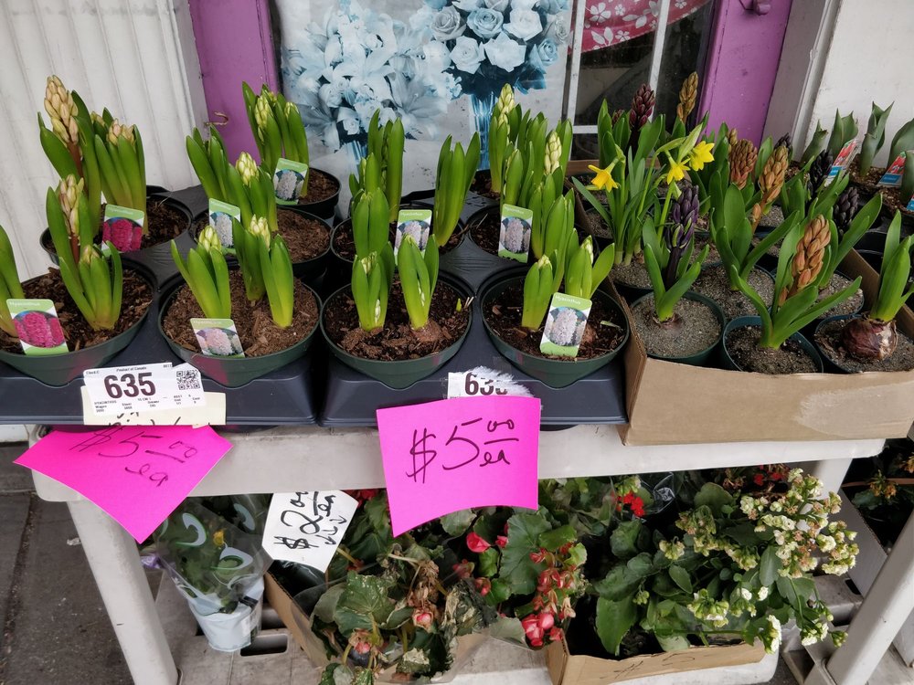 WINNIE FLORIST Updated October 2024 1983 41st Avenue E, Vancouver