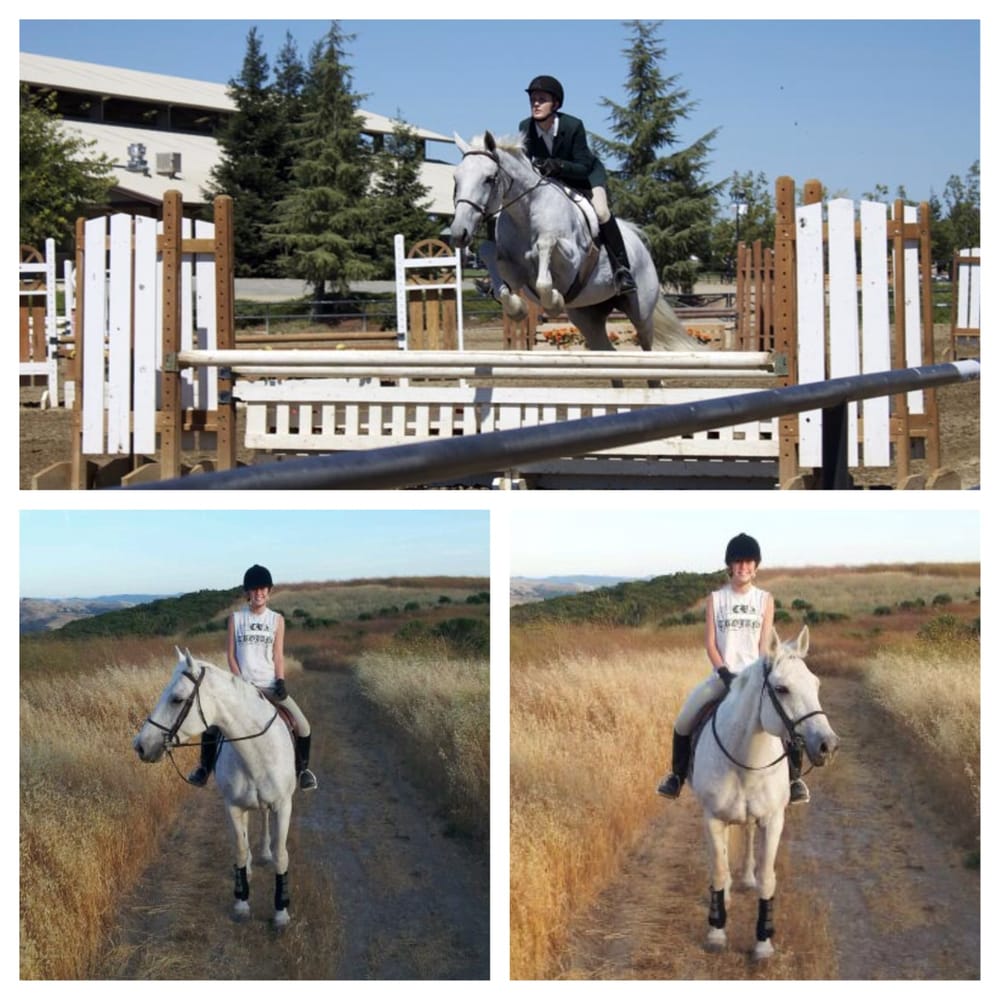 VI Equestrian International - equestrian in Aiken, SC