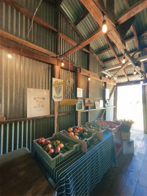 Peace and Plenty Farm by null