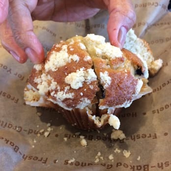 Einstein Bros. Bagels - The top of the blueberry muffin... - Bagels Near Me - Vero Beach, Florida Einstein Bros. Bagels - The top of the blueberry muffin... - Bagels Near Me - Vero Beach, Florida