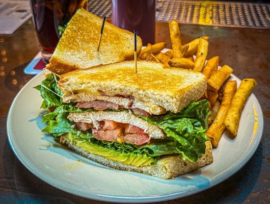 Mad Dog in the Fog by null