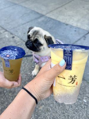 Yifang Taiwan Fruit Tea by null