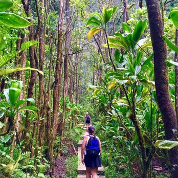 Pipiwai Trail - Almost there! - Hiking Near Me - Hana,, Hawaii