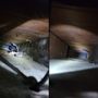 Photo of Air Duct Maintenance Solutions