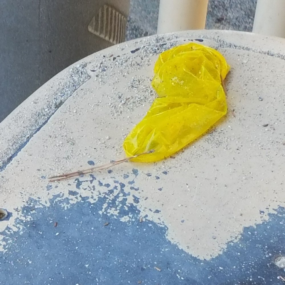 Wilderness Park - Condom on the kids playground. - Parks Near Me - Downey, California Wilderness Park - Condom on the kids playground. - Parks Near Me - Downey, California
