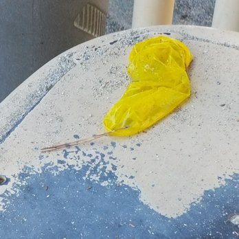 Wilderness Park - Condom on the kids playground. - Parks Near Me - Downey, California Wilderness Park - Condom on the kids playground. - Parks Near Me - Downey, California