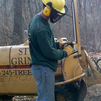 A & L Tree Experts - Tree Services Near Me - Madison, Connecticut A & L Tree Experts - Tree Services Near Me - Madison, Connecticut
