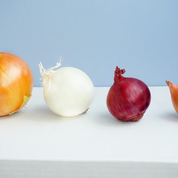 おにおん T-448 - (F1) Onion Seed | Johnny's Selected Seeds