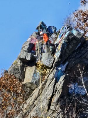 Quincy Quarries Reservation by null