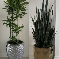 Green Garden Supply